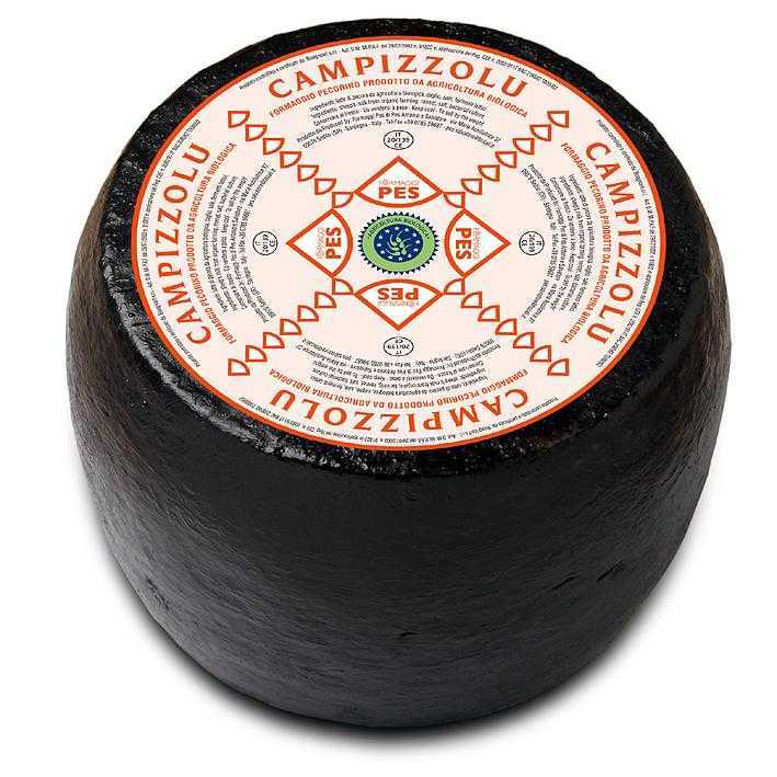 Campizzolu