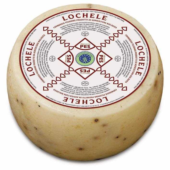 Lochele